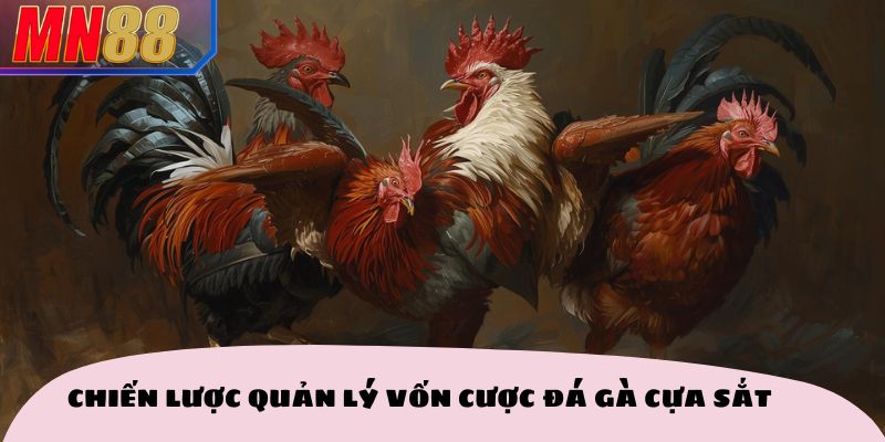 Chiến lược quản lý vốn cược đá gà 