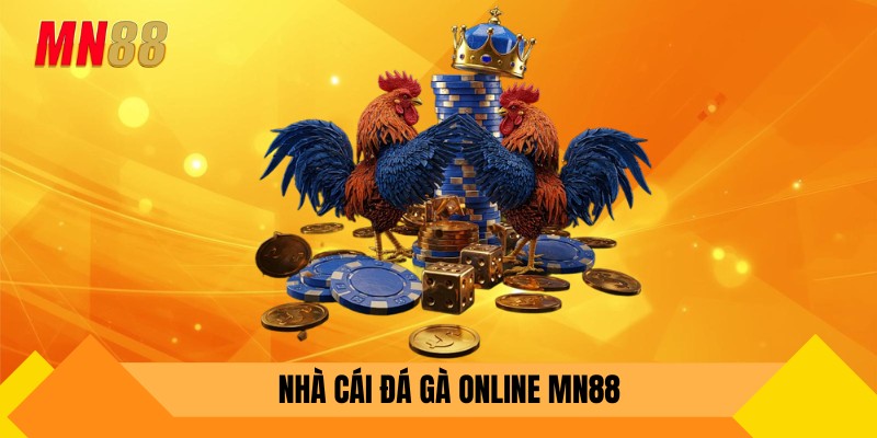 Nhà cái đá gà thái lan online mn88